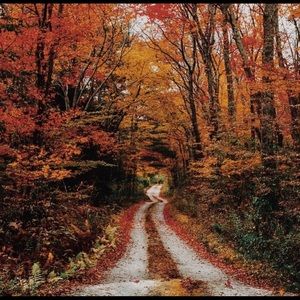 NEW FALL INVENTORY!! SHOP NOW! 😁🎊🎉🎊